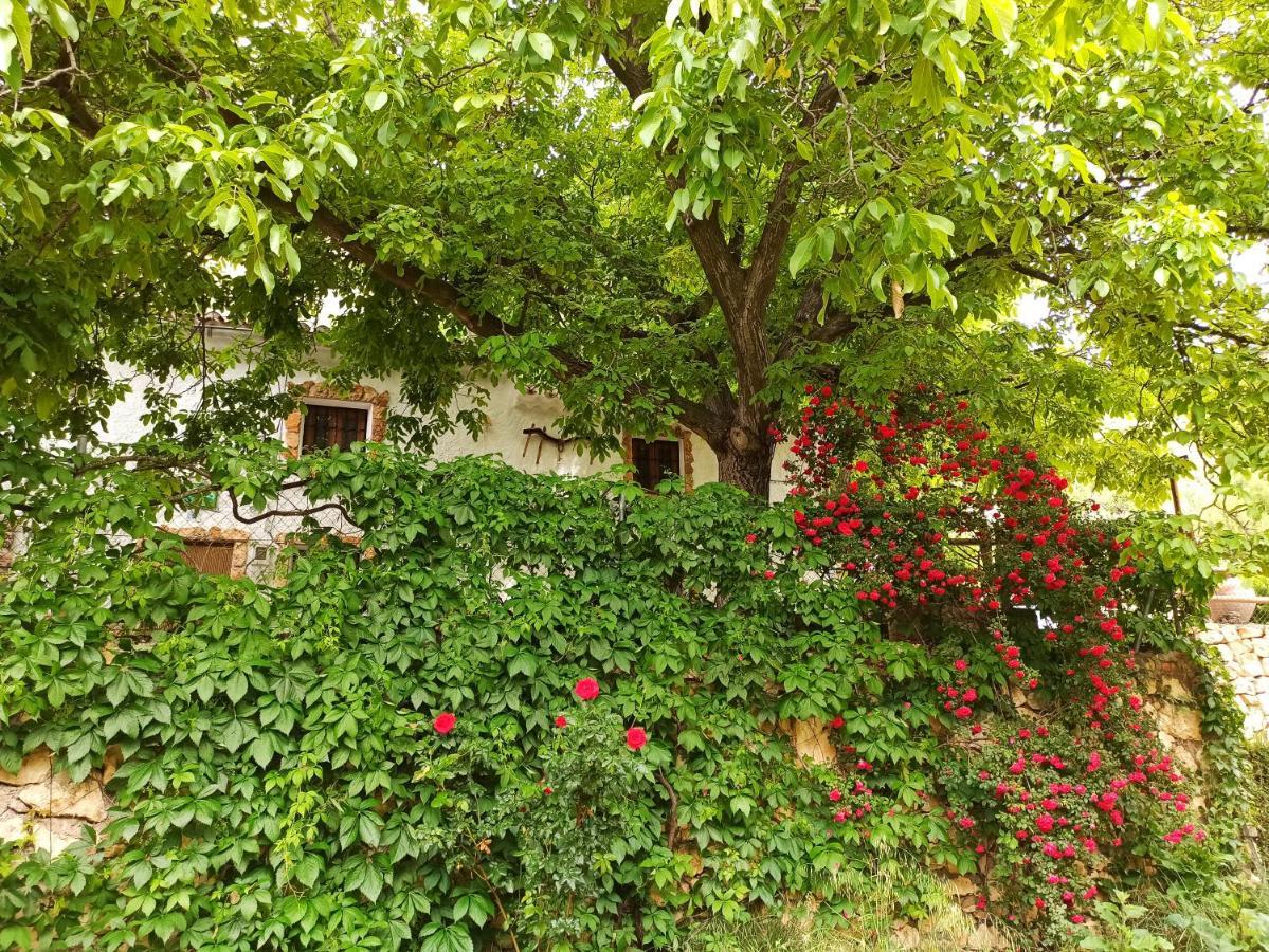 Cortijo Ramon Petra Nerpio Exterior foto